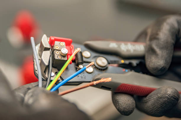 Best Electric Panel Repair  in Baudette, MN